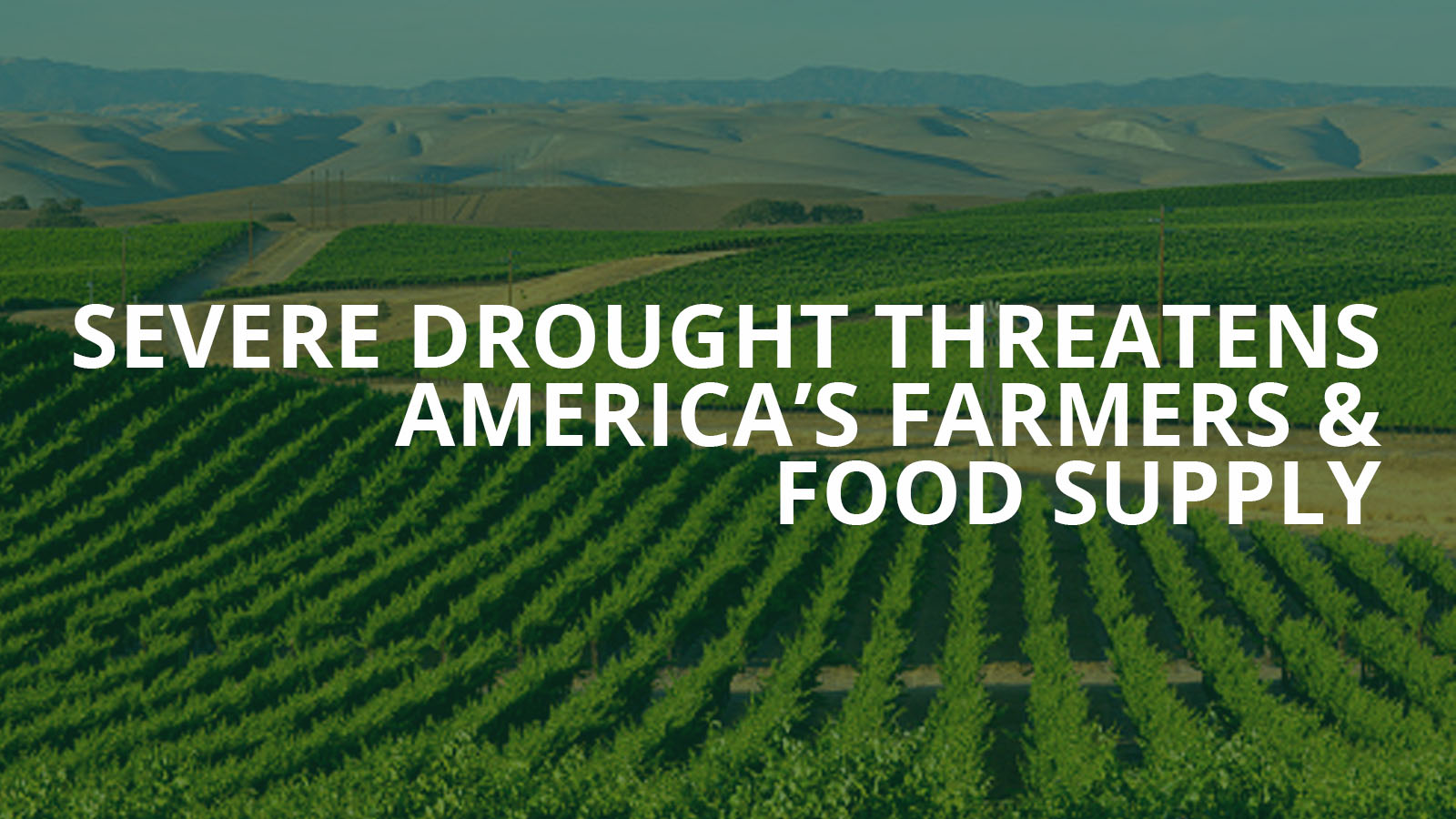 Severe drought threatens America's farmers & food supply