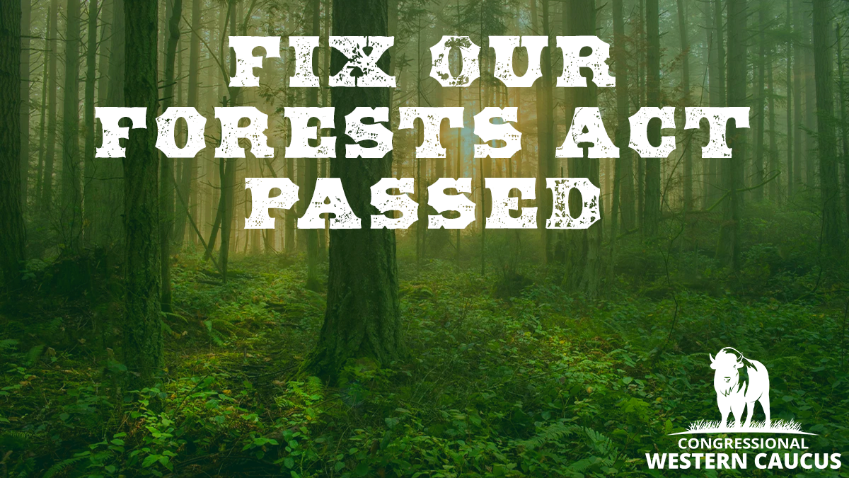 Chairmen Newhouse, Westerman Celebrate Passage of Fix Our Forests 