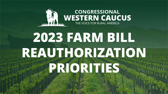 Farm Bill Priorities