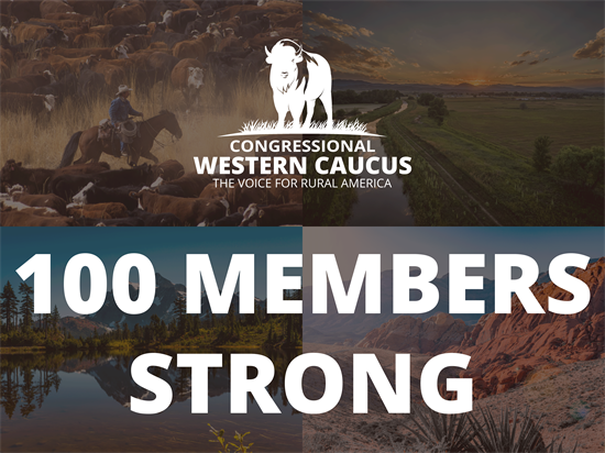 100 Members Strong
