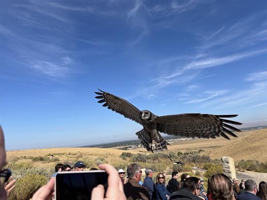 Boise, Idaho Photo